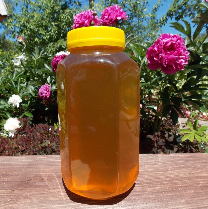 Алтайский мёд, Чарышский мёд, Горный мёд