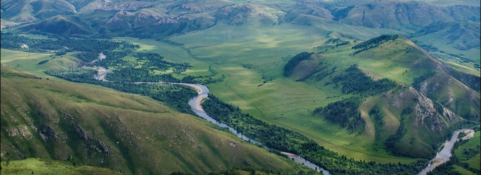 Пасека в горах алтая