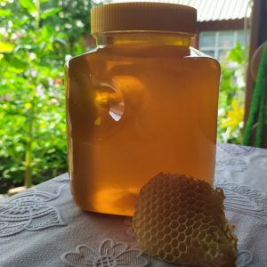 Алтайский мёд